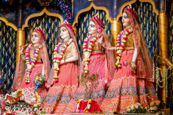 Daily Darshan