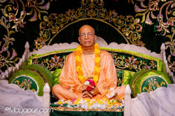 Daily Darshan
