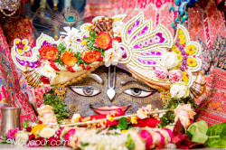 Daily Darshan