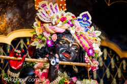 Daily Darshan