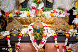Daily Darshan