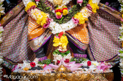 Daily Darshan