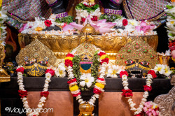 Daily Darshan