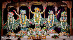 Daily Darshan