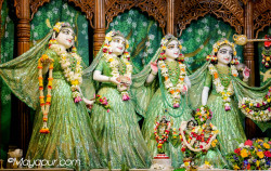 Daily Darshan