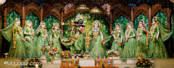 Daily Darshan