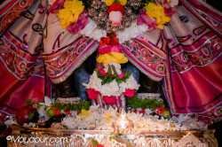 Daily Darshan