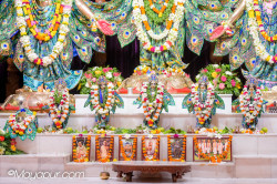 Daily Darshan