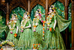Daily Darshan