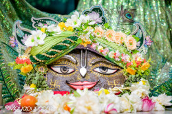 Daily Darshan