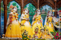 Daily Darshan