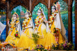 Daily Darshan
