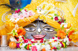 Daily Darshan