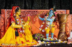 Daily Darshan