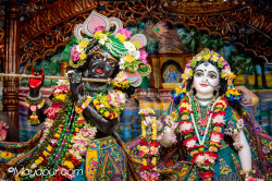 Daily Darshan