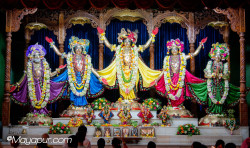 Daily Darshan