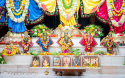 Daily Darshan