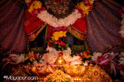 Daily Darshan
