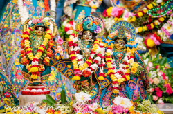 Daily Darshan