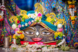 Daily Darshan
