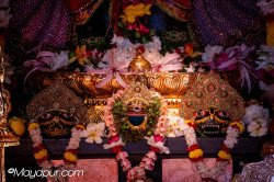 Daily Darshan