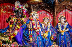 Daily Darshan