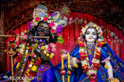 Daily Darshan