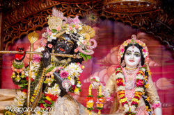 Daily Darshan