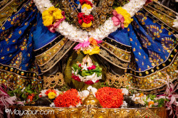 Daily Darshan