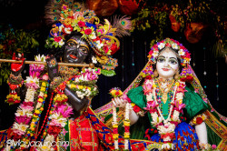 Daily Darshan