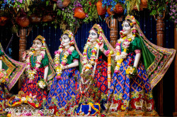 Daily Darshan