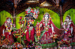 Daily Darshan