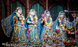 Daily Darshan