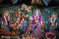 Daily Darshan