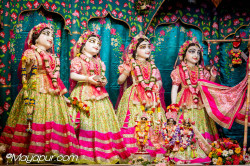 Daily Darshan