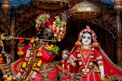 Daily Darshan