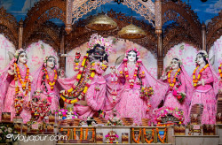 Daily Darshan
