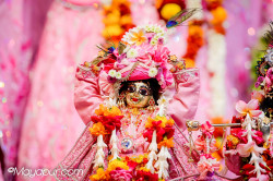 Daily Darshan