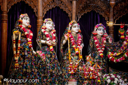 Daily Darshan