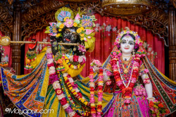 Daily Darshan