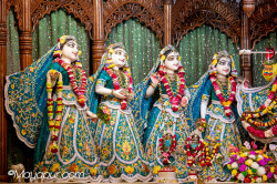 Daily Darshan
