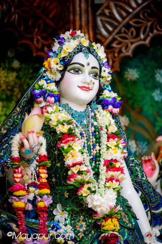 Daily Darshan