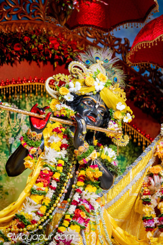 Daily Darshan