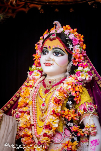 Daily Darshan