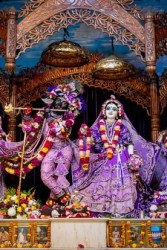 Daily Darshan