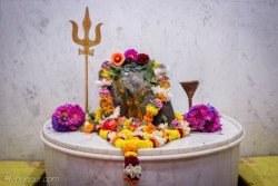 Daily Darshan