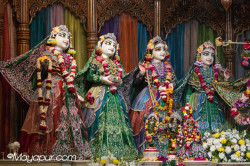 Daily Darshan