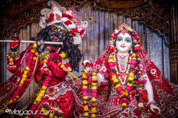 Daily Darshan