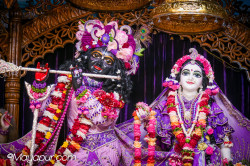 Daily Darshan