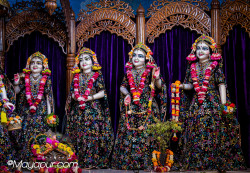 Daily Darshan